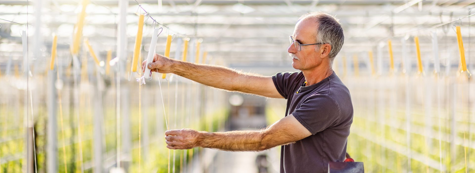 Tuinder met hogedraadhaak